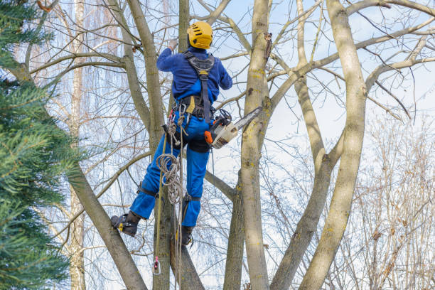 Best Soil Testing and Treatment  in Bainbridge, PA